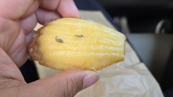 Philz Coffee by null