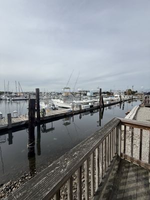 Captain Scott's Lobster Dock by null