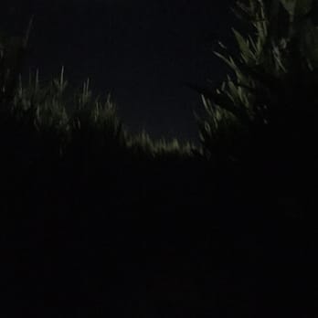 Santa Rosa Pumpkin Patch - Some scary dark path - Pumpkin Patches Near Me - Santa Rosa, California Santa Rosa Pumpkin Patch - Some scary dark path - Pumpkin Patches Near Me - Santa Rosa, California