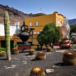 Molino de Viento