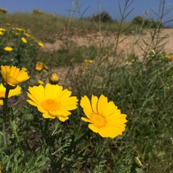 Point Dume State Beach - Beaches Near Me - Malibu, California