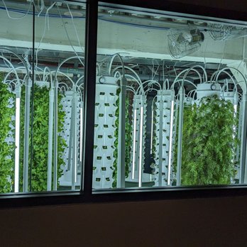 Gather - Hydroponic garden in the basement - New American Near Me - Omaha, Nebraska