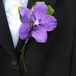 Blooms for Business - Vanda blue orchid buttonhole