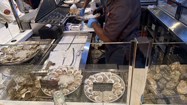 The Darling Oyster Bar - Savannah by null