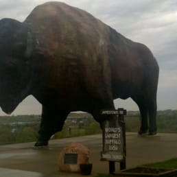 26 foot tall 60 ton Buffalo 26 foot tall 60 ton Buffalo