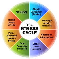 Trivedi Effect - Stress Cycle