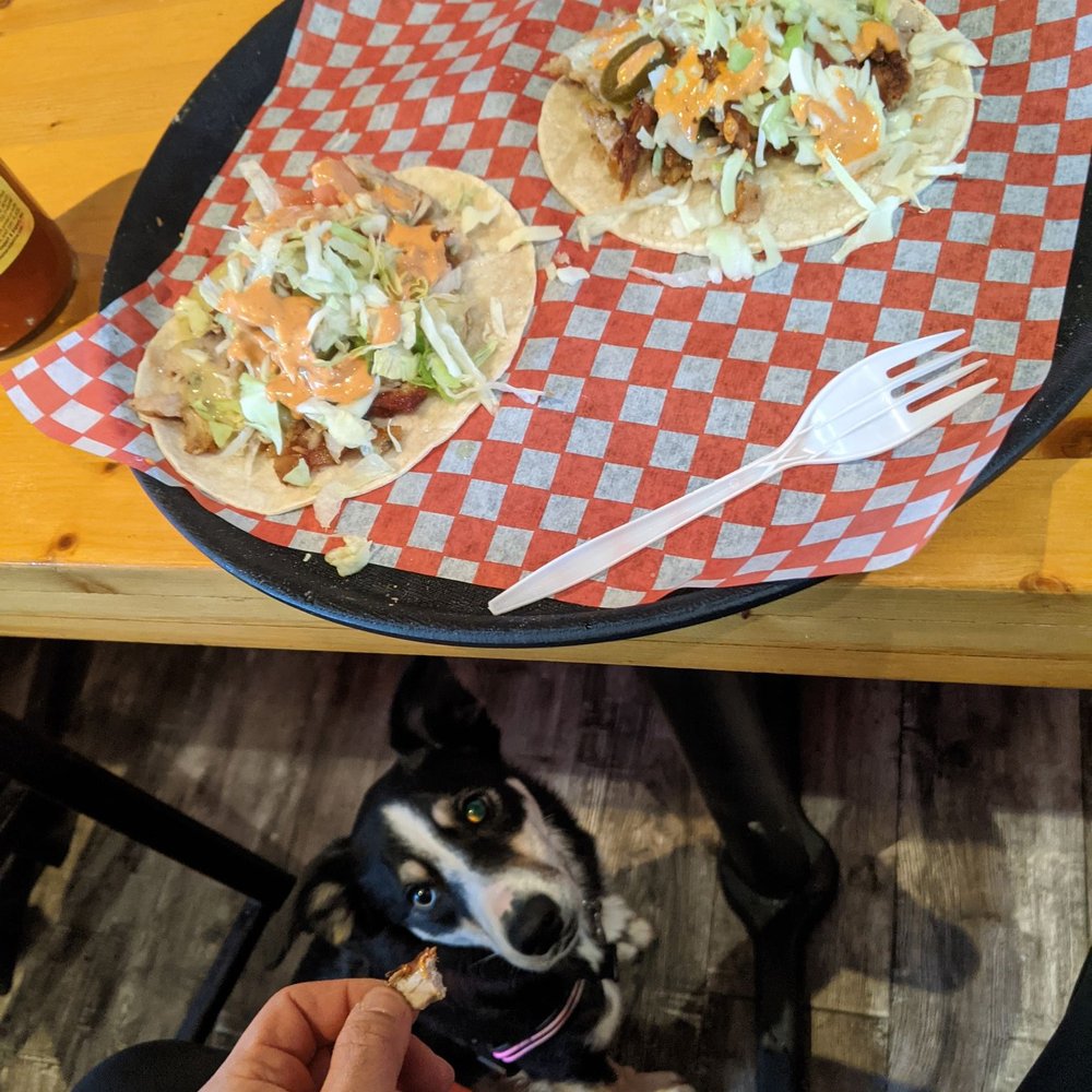 Best Bite Donair - Chicken tacos 2 for $6. Diamond my furbaby approved too. We drive or walk by and she's already trying to pull me into the restaurant. - Poutineries Near Me - Vancouver, British Columbia Best Bite Donair - Chicken tacos 2 for $6. Diamond my furbaby approved too. We drive or walk by and she's already trying to pull me into the restaurant. - Poutineries Near Me - Vancouver, British Columbia
