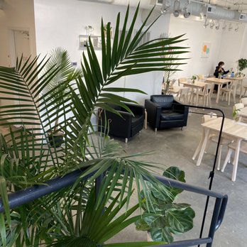 Iris Coffee Lab - Coffee & Tea Near Me - Raleigh, North Carolina