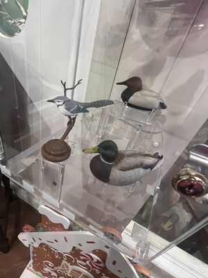 Atlantic Wildfowl Heritage Museum by null