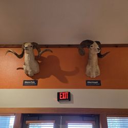 National Bighorn Sheep Center - 06-29-2026