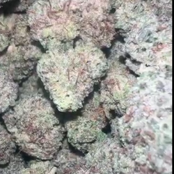 Juicys Shop & Lounge - Great quality legal flower! (No license required)