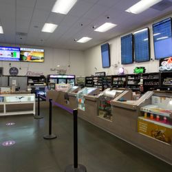 Purple Lotus - Enjoy over 900+ products. We have everything you're looking for!
