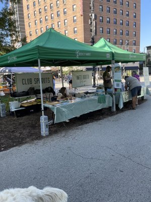 Green City Market Lincoln Park by null