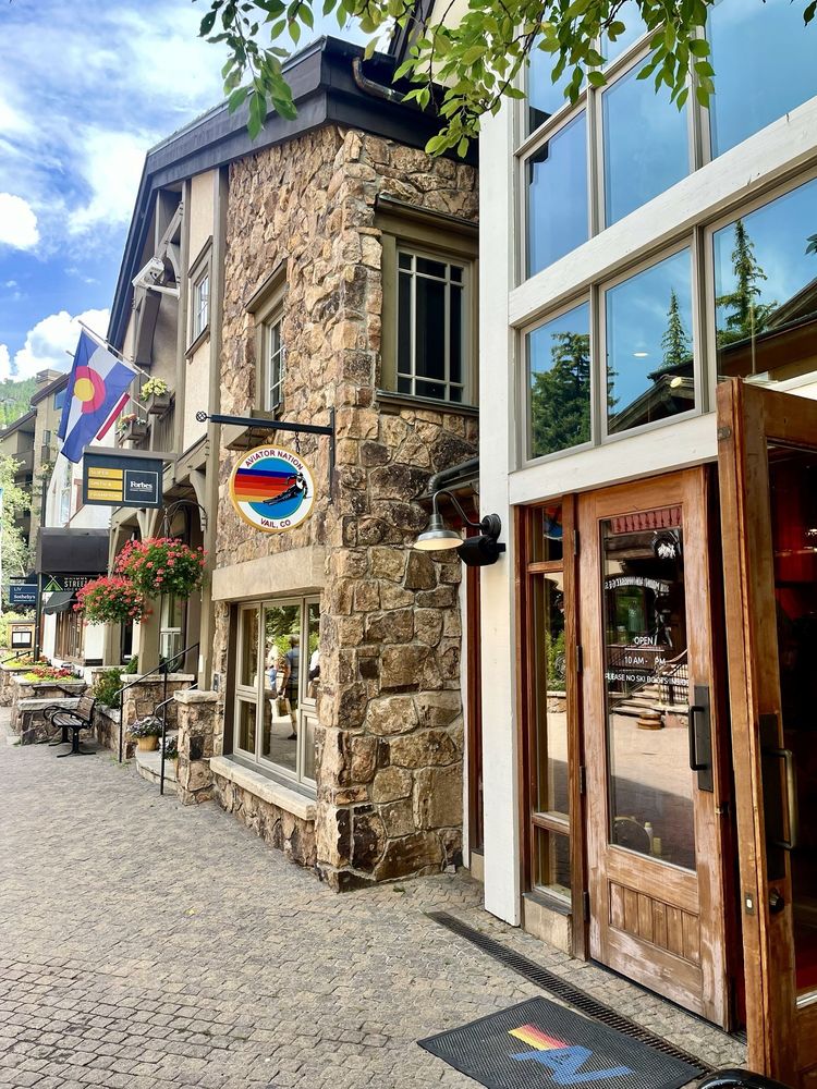 Aviator Nation Image