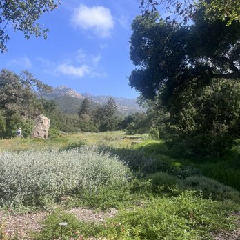 Santa Barbara Botanic Garden - Botanical Gardens Near Me - Santa Barbara, California Santa Barbara Botanic Garden - Botanical Gardens Near Me - Santa Barbara, California