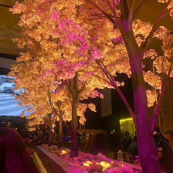 Paperfish Sushi - Inside - Sushi Bars Near Me - Miami, Florida Paperfish Sushi - Inside - Sushi Bars Near Me - Miami, Florida