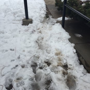 The Lennox - This is what happens every time it snows...Bush draped over sidewalk and blocking the only walk ways.They refuse to do anything. - Apartments Near Me - Highland Ranch, Colorado The Lennox - This is what happens every time it snows...Bush draped over sidewalk and blocking the only walk ways.They refuse to do anything. - Apartments Near Me - Highland Ranch, Colorado