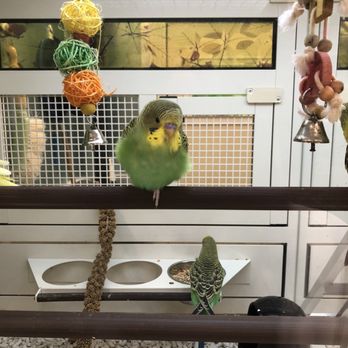 PetSmart - Birds - Pet Stores Near Me - Euless, Texas