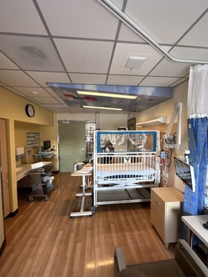 Children's Hospital Los Angeles by null