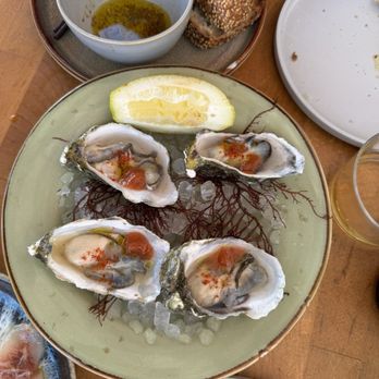 Crudo e Nudo - The oysters were spectacular - Seafood Near Me - Santa Monica, California