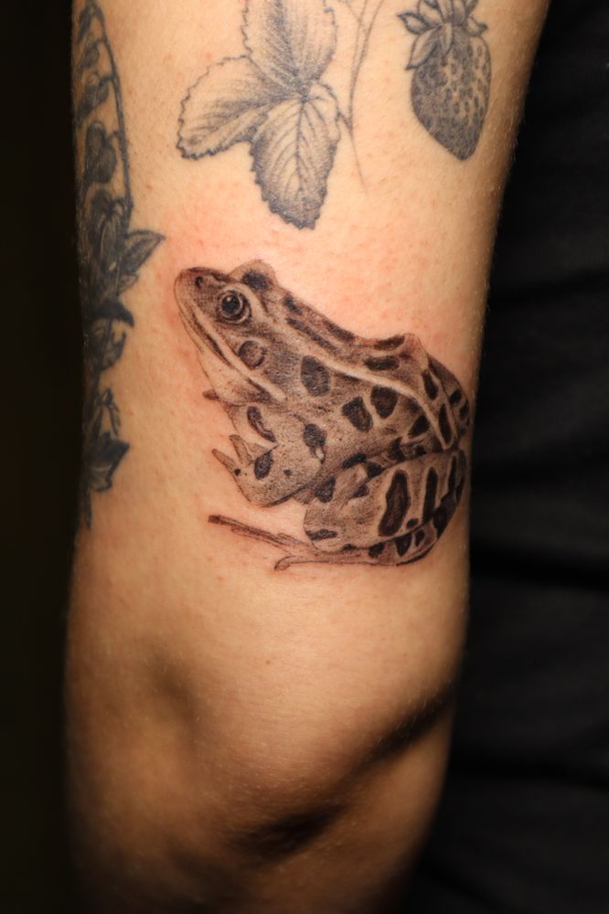 METAMORPH TATTOO - Updated March 2025 - Request an Appointment - 742 S ...