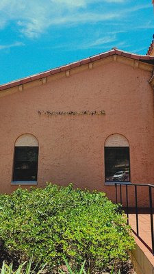 Rollins Museum of Art by null