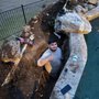 Photo of Pool Smart