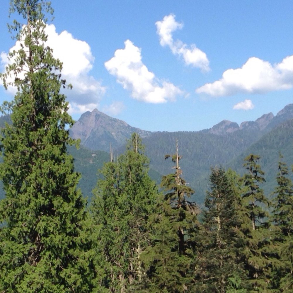 Lake 22 - View along the way - Hiking Near Me - Granite Falls, Washington Lake 22 - View along the way - Hiking Near Me - Granite Falls, Washington