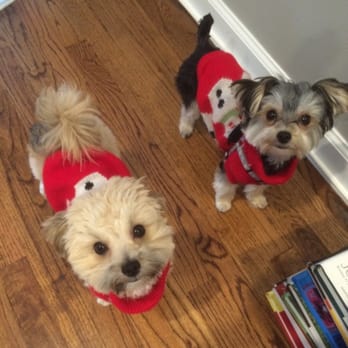 Trusty Tails Pet Care - Cali and Mika :) - Dog Walkers Near Me - Hoboken, New Jersey Trusty Tails Pet Care - Cali and Mika :) - Dog Walkers Near Me - Hoboken, New Jersey