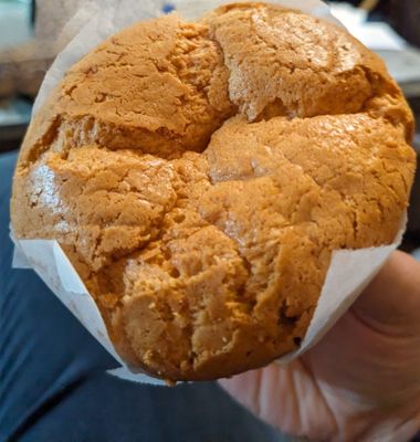 Spongies Cafe by null