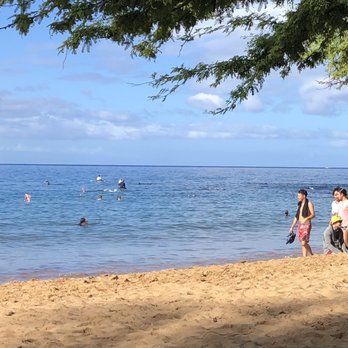 Ulua Beach Park - Saw the White Tip beyond the diver in black. - Beaches Near Me - Wailea, Hawaii Ulua Beach Park - Saw the White Tip beyond the diver in black. - Beaches Near Me - Wailea, Hawaii