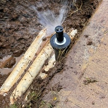 Nifty Lawns - New sprinkler head installed - Lawn Services Near Me Nifty Lawns - New sprinkler head installed - Lawn Services Near Me