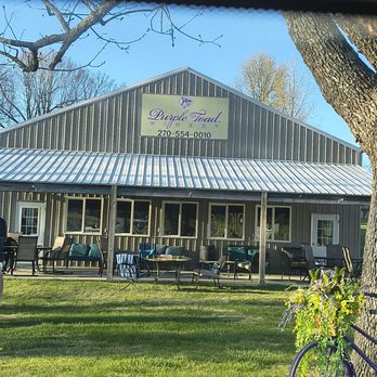 Purple Toad Winery & Distillery - Wineries Near Me - Paducah, Kentucky Purple Toad Winery & Distillery - Wineries Near Me - Paducah, Kentucky