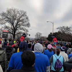 Rock and Roll Marathon Series - Starting line for the 5k