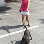 Hickman Family Puppy Care Services