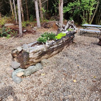 Olympic Adventure Campground - Campgrounds Near Me - Forks, Washington