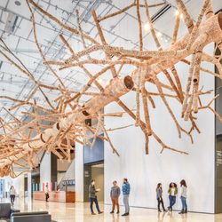 Seattle Art Museum - Photo: Benjamin Benschneider