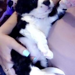 My Sadie. You'll be greatly missed My Sadie. You'll be greatly missed