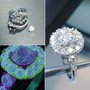 Photo of Luna Jewels