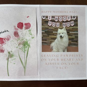 Olde Towne Pet Resort - Koda's Mother's Day card for me! - Pet Groomers Near Me - Springfield, Virginia