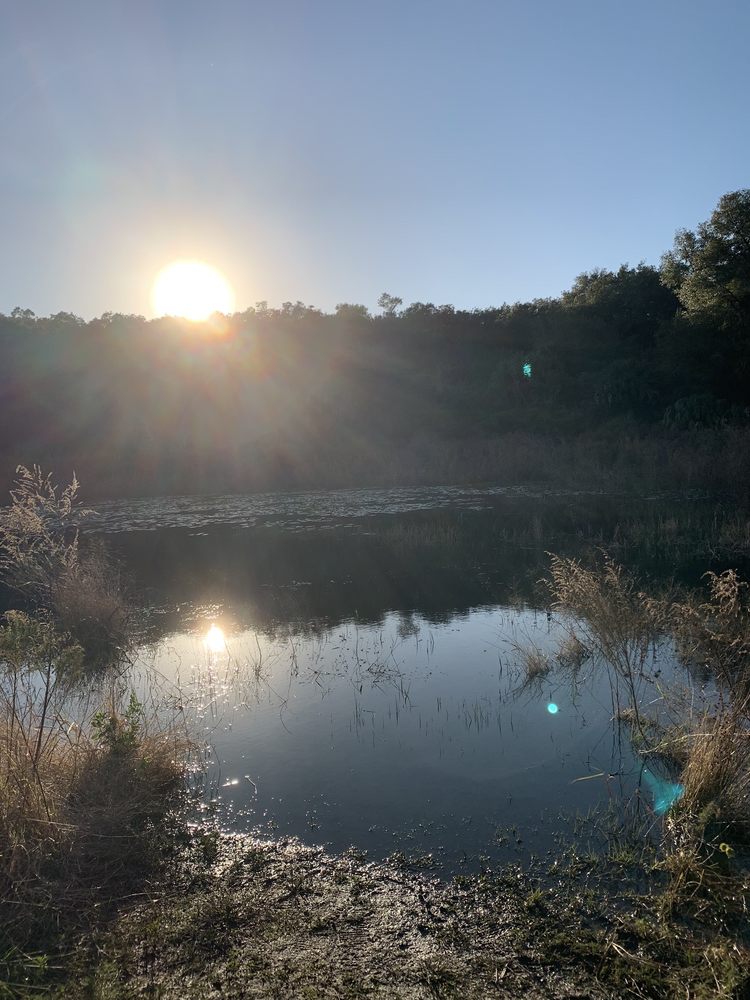 Hidden Waters Preserve Image