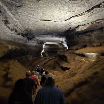 Mammoth Cave National Park - Parks Near Me - Mammoth Cave, Kentucky Mammoth Cave National Park - Parks Near Me - Mammoth Cave, Kentucky