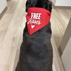 Mia Bella Pediatrics - Bradley, our Pawsitivity Manager