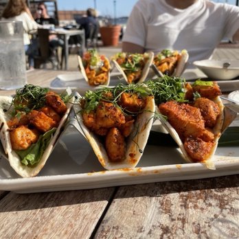 Barcocina - Mahi Mahi Tacos - Bars Near Me - Baltimore, Maryland Barcocina - Mahi Mahi Tacos - Bars Near Me - Baltimore, Maryland