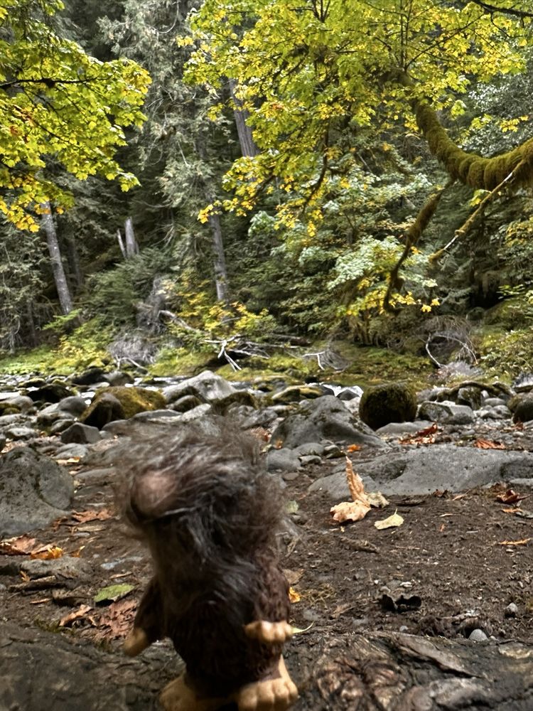 Old Salmon River Trail Logo