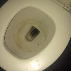First District Association - This company is not a company to buy products from they could careless about being clean
