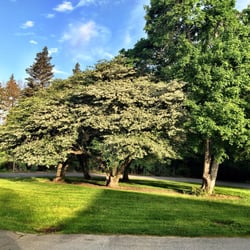 Ella Sharp Park