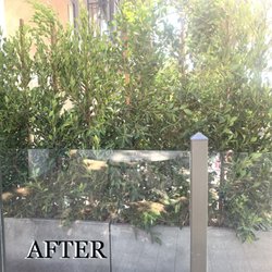 Sterling Gardens Nursery - After Sterling Gardens Nursery