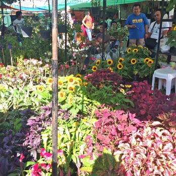 Sidcor Sunday Market - Local Flavor Near Me - Quezon City, NCR