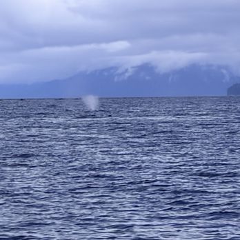Hoonah Travel Adventures - Whale exhale - Whale Watching Tours Near Me - Hoonah, Alaska Hoonah Travel Adventures - Whale exhale - Whale Watching Tours Near Me - Hoonah, Alaska